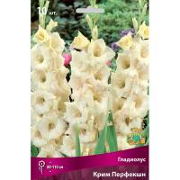 Гладиолус Крупноцветковый Крим Перфекшн (10/12) 10 шт 