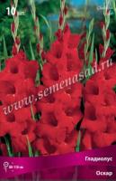 Гладиолус Крупноцветковый Оскар (10/12) 10 шт