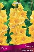 Гладиолус Крупноцветковый Джестер Голд (12/14) 5 шт 777632