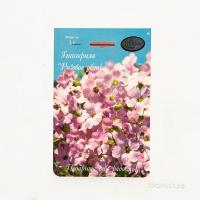 Гипсофила розовая Розовое облако 20*1 