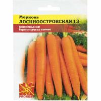 Морковь Лосиноостровская 13 2г