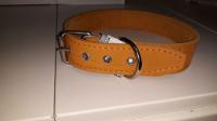 Ошейник кожа 35мм безразмерный на ферте 60см/41004/Бим