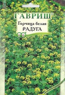 Семена горчицы белой Радуга 20,0 г Семена горчицы белой Радуга 20,0 г