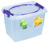 Контейнер 9л Пикник мультибокс 160152