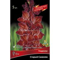 Гладиолус Крупноцветковые "Российская селекция" Старый саквояж (12/+) 5 шт 828527