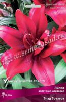 Лилия Азиатская махровая Блад Бразерз (14/16) 2 шт