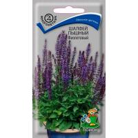 Шалфей (дубравный) пышный Фиолетовый 0,1г Шалфей (дубравный) пышный Фиолетовый 0,1г