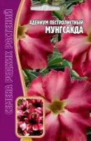 Адениум Мунгсагда 3 шт
