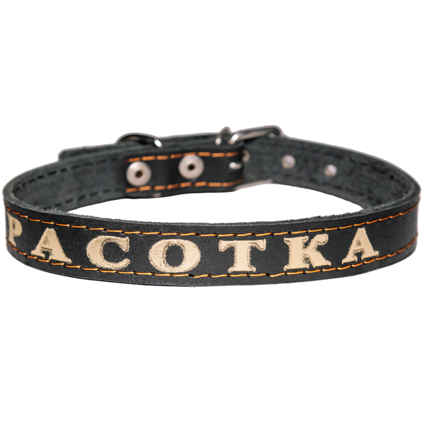 Ошейник кожа 20мм 1слойный прямой с надписью 50-52см/110009/Бим