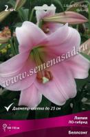 Лилия ЛО-Гибрид Беллсонг (14/16) 2 шт