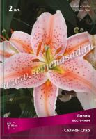 Лилия Восточная Салмон Стар (14/16) 2 шт