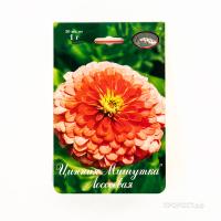 Цинния Мишутка лососевая 20*1
