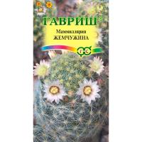 Маммиллярия шейдвелардиана Жемчужина 2шт