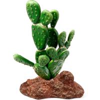 Растение Опунция Laguna 95*60*140мм/84044004