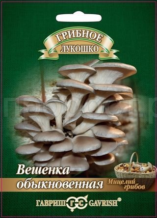 Мицелий гриба Вешенка Обыкновенная на древесной палочке 12шт
