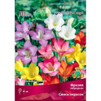 Фрезия гибридная Смесь окрасок 
