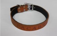 Ошейник кожа 35мм 1слойный прямой с надписью 60-65см/110004/Бим