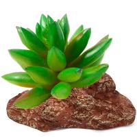 Растение Толстянка Laguna 95*70*90мм/84044002 Растение Толстянка Laguna 95*70*90мм/84044002