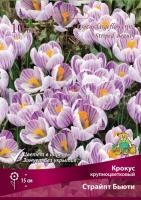 krokus_krupnocvet_ stript_beauty_kaper krokus_krupnocvet_ stript_beauty_kaper