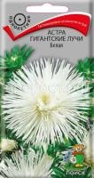 Астра Гигантские лучи Белая Астра Гигантские лучи Белая