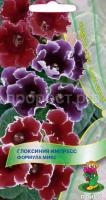 Глоксиния Импресс Формула микс Глоксиния Импресс Формула микс