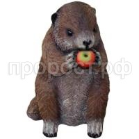 Бобер с яблоками Бобер с яблоками