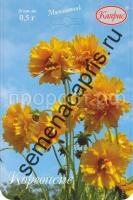 кореопсис золотистый шлейф кореопсис золотистый шлейф