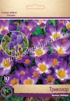 Крокус Триколор