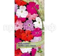 Бальзамин Милашка смесь окрасок 0,1гр Поиск