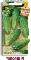 Огурец ТОПОЛЕК F1 Огурец ТОПОЛЕК F1