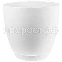 101 белый осн