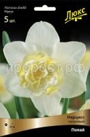 narciss_mahrov_popay_kaper