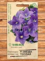 Без названия (10)