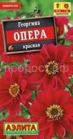 георгина опера красная георгина опера красная