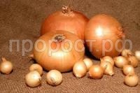 Без названия (4) Без названия (4)