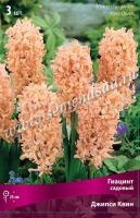 Джипси Квин Джипси Квин