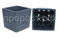 квадро антр