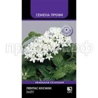 Без названия Без названия