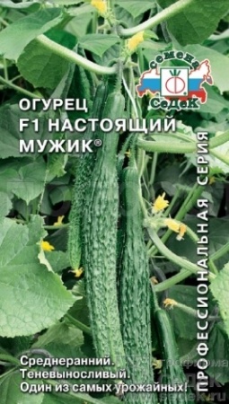 Седек Огурец Настоящий мужик F1 0,2г