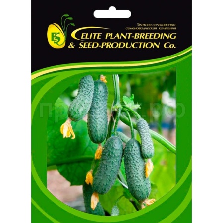 Огурец Стартап F1 100 шт