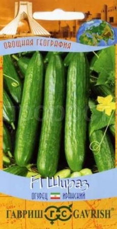 Огурец Шираз F1 10шт