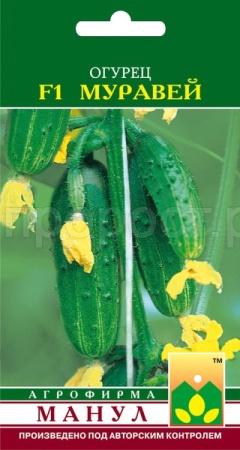 Манул Огурец Муравей F1 10 шт