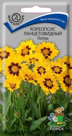 Кореопсис ланцетовидный Потеха 0,1г