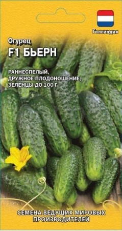 Гавриш Огурец Бьерн F1 5шт