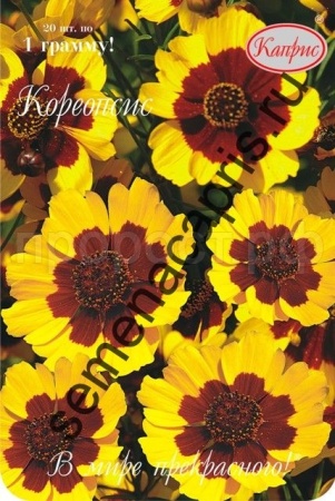 Кореопсис Летний ветерок однолетний 