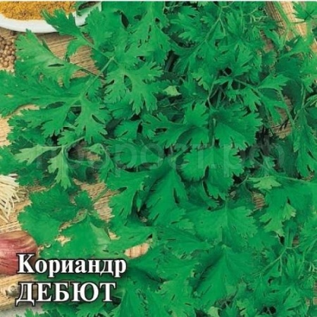 Кориандр Дебют 25 г