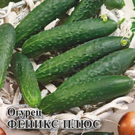 Огурец Феникс плюс 25 г