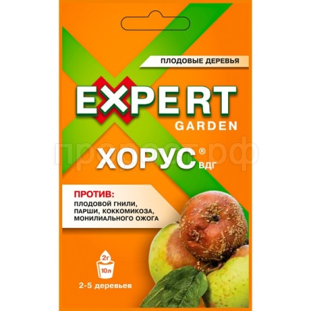 Хорус ВДГ 2гр