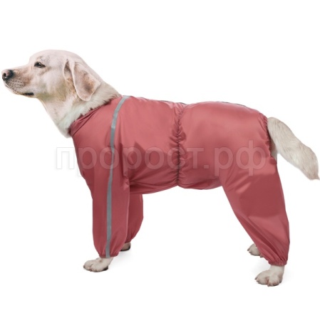 Комбинезон зимний Лабрадор 58см/12212010/Триол