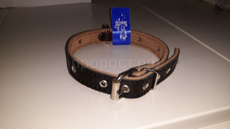 Ошейник кожа 20мм 2-х слойный безразмерный 40-45см/41370/Бим